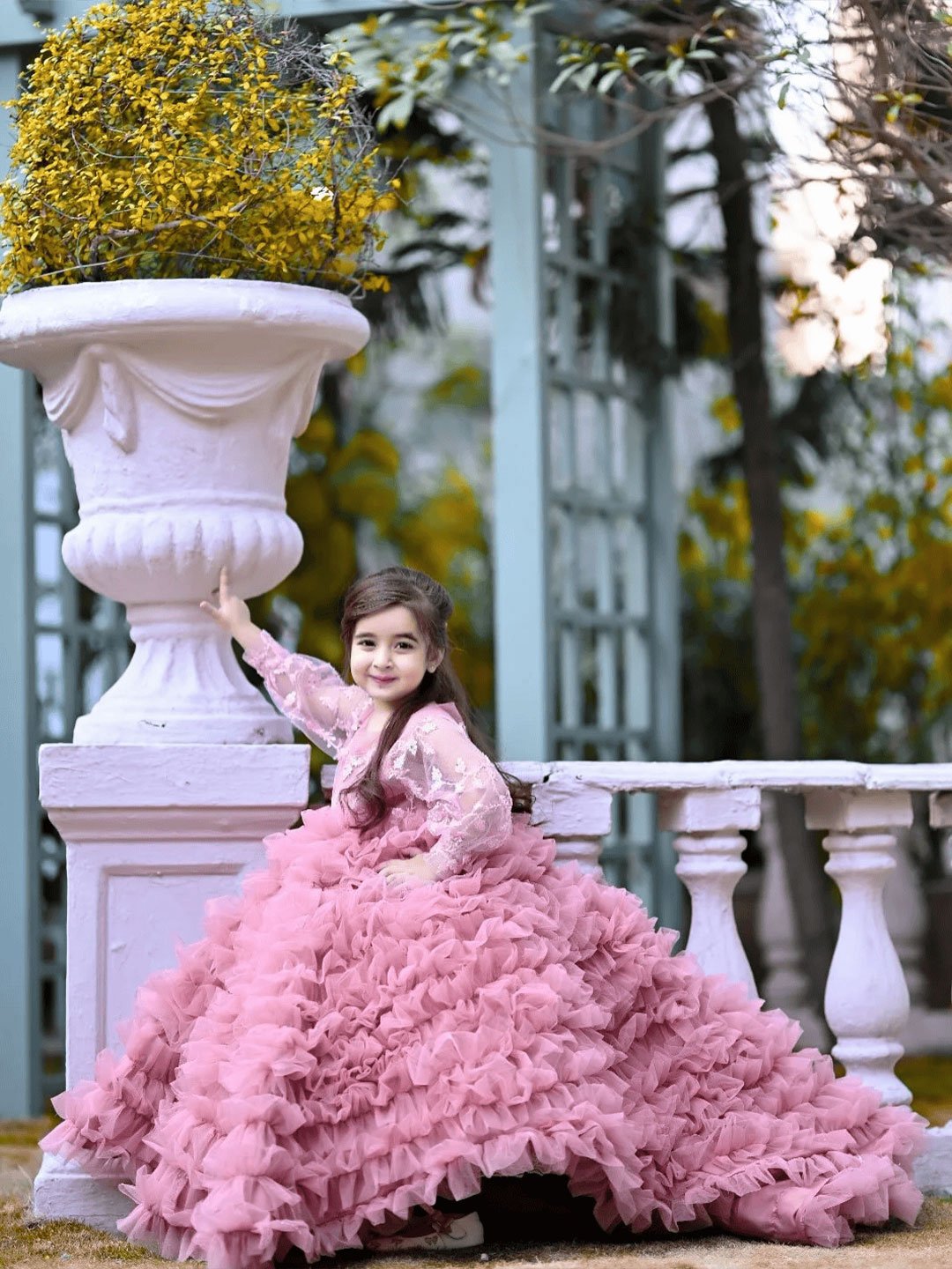 Pink pione