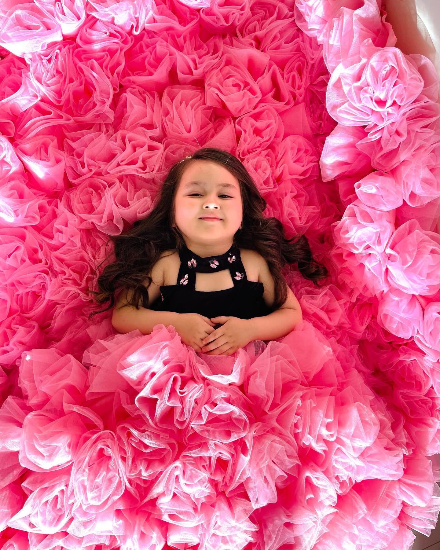 Pink Rose